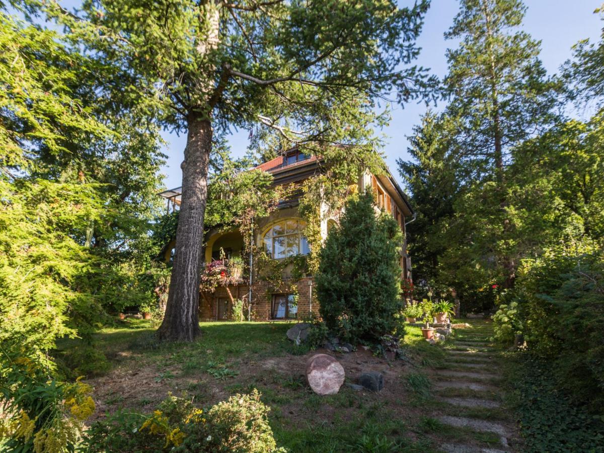 Ferienwohnung Dresden-Pillnitz - Elbhang-Villa - "Am Zuckerhut" Extérieur photo